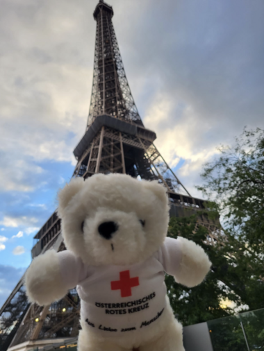 Zu sehen ist Bärli vor dem Eiffelturm in Paris.