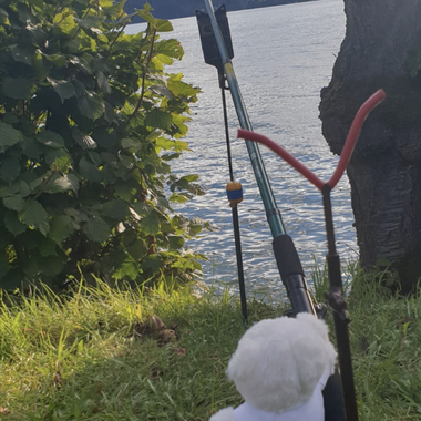 Man sieht Bärli von hinten im Gras an einer Angel stehen. Er wartet darauf, dass ein Fisch anbeißt - wie wir jetzt wissen wird er leider keinen fangen.