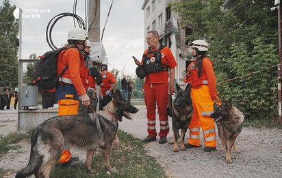 Evakuierung mit Hunden in Charkiw nach Drohnenangriff