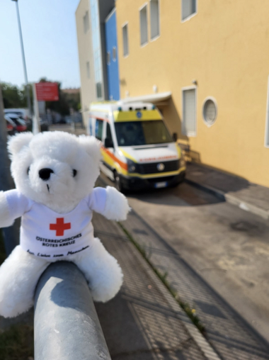 Erklärbär Bärli blickt in die Kamera und sitzt auf einem Geländer vor einer Rotkreuz-Dienststelle in Italien.