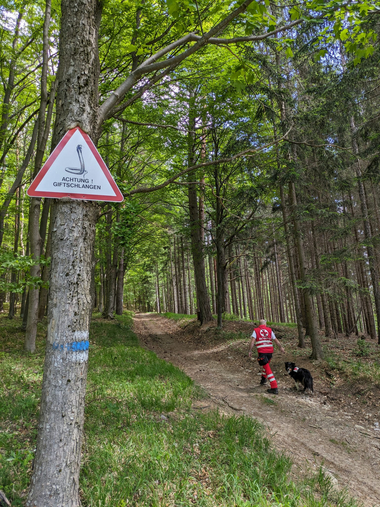 © Suchhunde Baden Suchhunde Baden