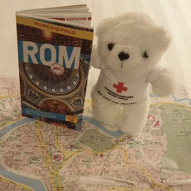 Zu sehen ist Bärli mit einem Reiseführer (Buch) und einer Karte der Stadt Rom.