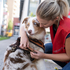 Suchhund im Einsatz