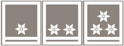 ÖRK Dienstgrade Zugsführer, Oberzugsführer und Hauptzugsführer.
