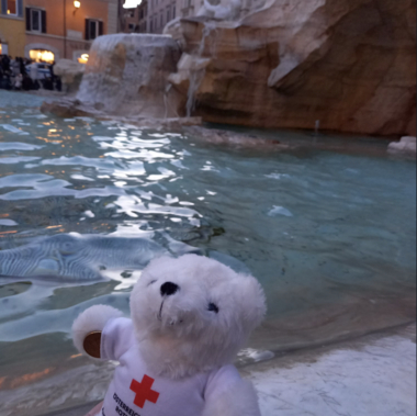 Zu sehen ist Bärli vor dem Trevi-Brunnen in Rom.