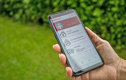 Eine Frau hält ein Smartphone mit dem Startbild der Team Österreich-App in ihrer Hand