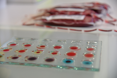 Symbolfoto von Blutbeuteln mit Testpalette