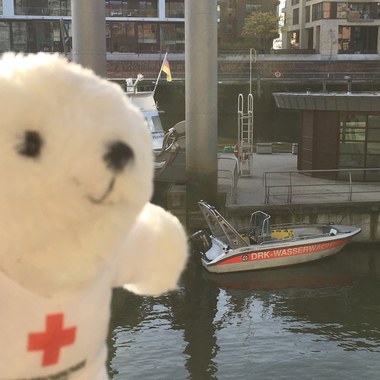 Zu sehen ist Bärli vor einem kleinen Boot in Hamburg. Am Boot steht DRK Wasserwacht geschrieben.