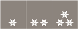 ÖRK Dienstgrade Helfer, Oberhelfer und Haupthelfer.