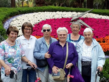 Betreutes Reisen: Reisebericht 2019: Teneriffa