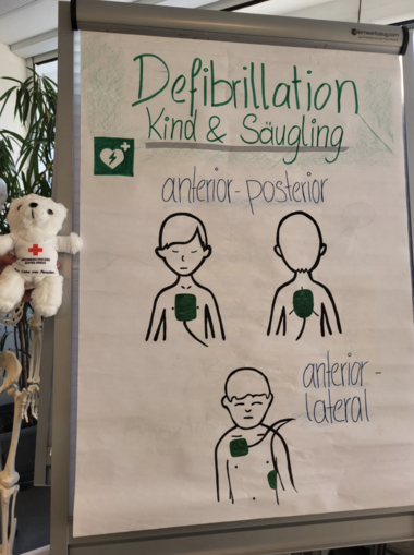Zu sehen ist Bärli neben einer Flipchart, als er gerade die Defibrillation von Erwachsenen und Kindern erklärt.