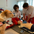 Zwei Rettungssanitäter_innen trainieren die Reanimation, Mailow, der Hund von Bezirksausbildungsreferent Kreidl, sitzt daneben und passt auf.