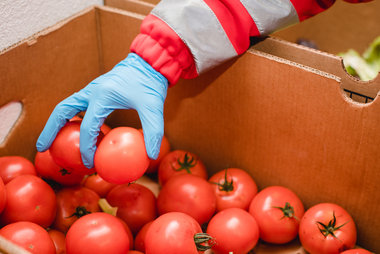 Lebensmittel, die noch in Ordnung sind wie hier im Bild Tomaten aus Tirol, werden über die Team Österreich Tafeln und Tafeln Tirol an Menschen abgegeben, die sich den Lebensmitteleinkauf nicht leisten können