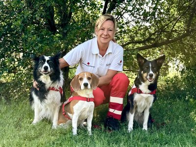 Eli Stidl mit Fly, Snoopy und Zoe - © RK NÖ Teamfoto Eli Stidl mit Border Collie Fly, Beagle Snoopy und Border Collie Zoe