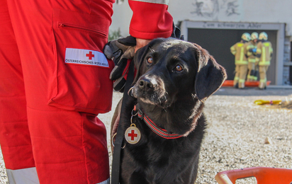 Katastrophenhilfe - © Rotes Kreuz Tirol Sabrina Veider Im Bild ist ein Hund der Suchhundestaffel Tirol zu sehen. Er ist mit seinem Hundeführer unterwegs, von dem nur die Beide zu sehen sind. Die beiden nehmen an einer Übung teil