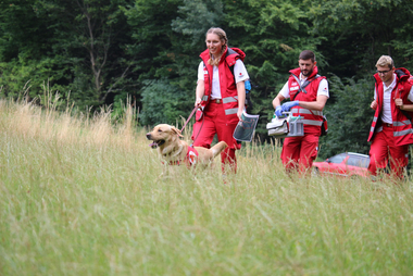 Suchhund mit Hundeführer:in