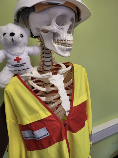 Zu sehen ist Bärli auf der Schulter eines Skeletts, das eine Rotkreuz-Warnweste und einen Sicherheitshelm trägt.