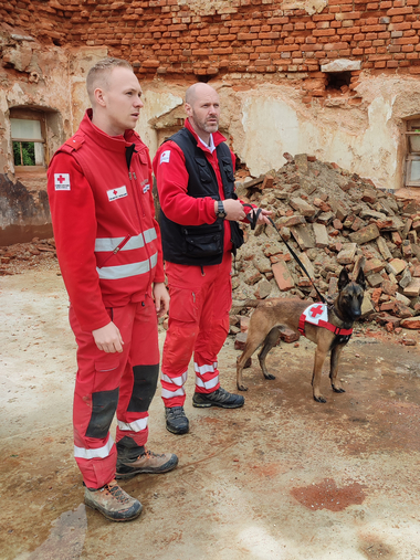 Suchhunde St.Aegyd Bayern Uebung