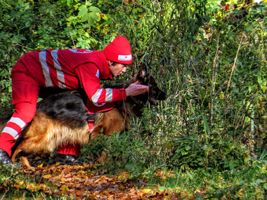 Erste Hilfe + Hund (8h) - Rotes Kreuz Innsbruck