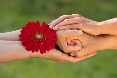 Hände aufeinandergelegt mit roter Blume in der Mitte