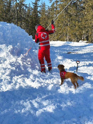 Eine Hundeführer in Rotkreuz-Uniform untersucht mit einer Sonde einen Schneehügel. Hinter ihm steht ein Suchhund für den Einsatz bereit.