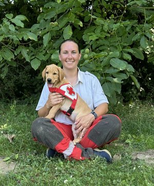 Rotes Kreuz, Suchhunde, NÖ Suchhund, RK NÖ