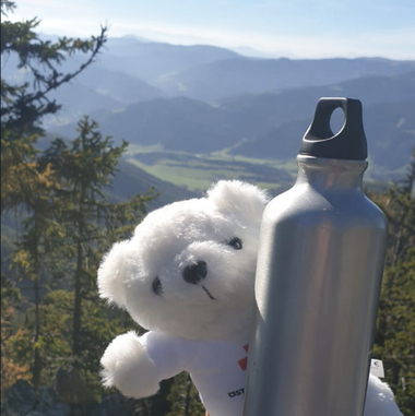 Zu sehen ist Bärli bei einer Wanderpause mit einer Trinkflasche. Im Hintergrund sieht man einen Wald und Berge.