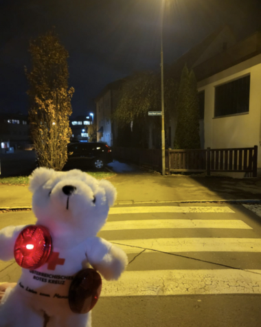 Zu sehen ist Bärli von vorne bei Nacht. Er trägt eine rote Lampe und Reflektoren, damit er auch im Dunkel gut gesehen wird.