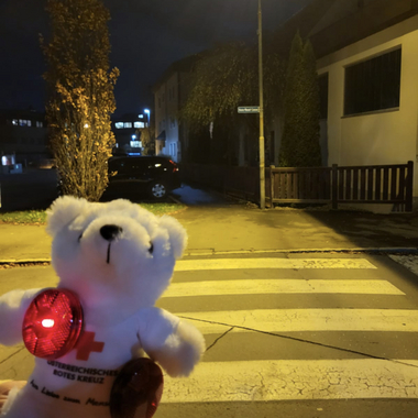 Zu sehen ist Bärli von vorne bei Nacht. Er trägt eine rote Lampe und Reflektoren, damit er auch im Dunkel gut gesehen wird.