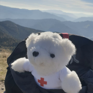 Zu sehen ist Bärli, wie er aus einem Wanderrucksack blickt. Im Hintergrund sieht man hohe Berge.