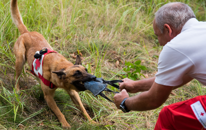 Hundeführer spielt mit seinen Hund - © Anna Zehetner Suchhunde Niederösterreich