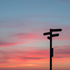 Wegweiser im Abendlicht