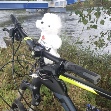 Bärli sitzt auf einem Fahrrad und blickt in die Ferne. Im Hintergrund sind ein Fluss und eine kleine Brücke zu sehen.