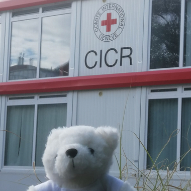 Bärli sitzt vor der Zentrale des Internationalen Komittes vom Roten Kreuz (IKRK) in Genf. Im Hintergrund ist das Logo des IKRK auf einem Gebäude zu sehen.