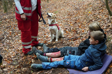 Suchhund mit Hundeführer:in