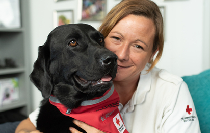 Therapiebegleithunde