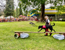 Hundestaffel
