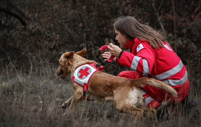 Start der Suche - © Isabelle Haupt Suchhunde Niederösterreich