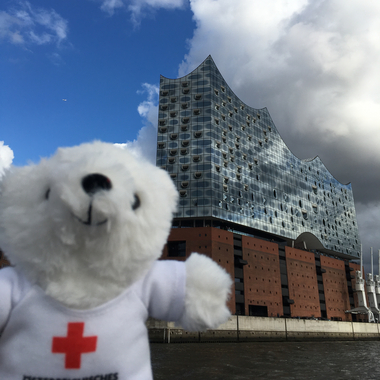 Zu sehen ist Bärli vor der berühmten Elbphilharmonie in Hamburg.