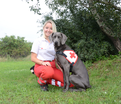 © RK NÖ/ Staffel Schwechat Celina Wechselberger mit Weimaraner Hündin Gin