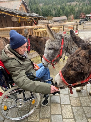 Werner füttert im Rollstuhl sitzend drei Esel.