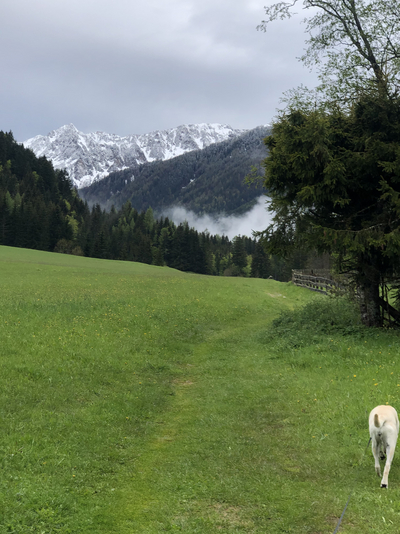 Ausblick Bodental