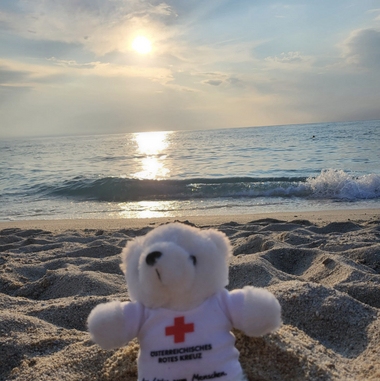 Erklärbär Bärli blickt in die Kamera und sitzt an einem Sandstrand. Im Hintergrund geht die Sonne bald unter.