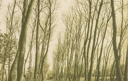 Edition von VALIE EXPORT für das Wiener Rote Kreuz