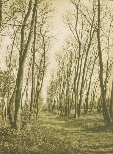 Edition von VALIE EXPORT für das Wiener Rote Kreuz