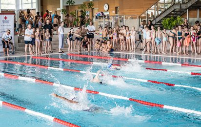 42 Schwimmstaffeln qualifizierten sich für das Landesfinale des Pinguincups und zeigten ihr Können im Wasser.