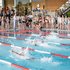 42 Schwimmstaffeln qualifizierten sich für das Landesfinale des Pinguincups und zeigten ihr Können im Wasser.