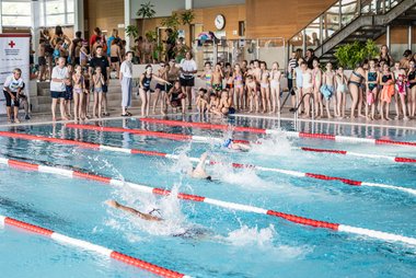 42 Schwimmstaffeln qualifizierten sich für das Landesfinale des Pinguincups und zeigten ihr Können im Wasser.