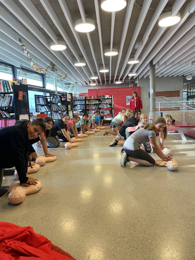 20 Schüler:innen in 2 Reihen trainieren mit den Wiederbelebungspuppen die Herzdruckmassage