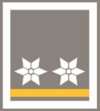 ÖRK Dienstgrad Obersanitätsmeister.